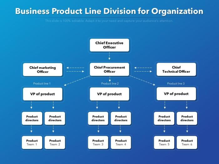 Brand strategy branding ways diagram shows below different services products